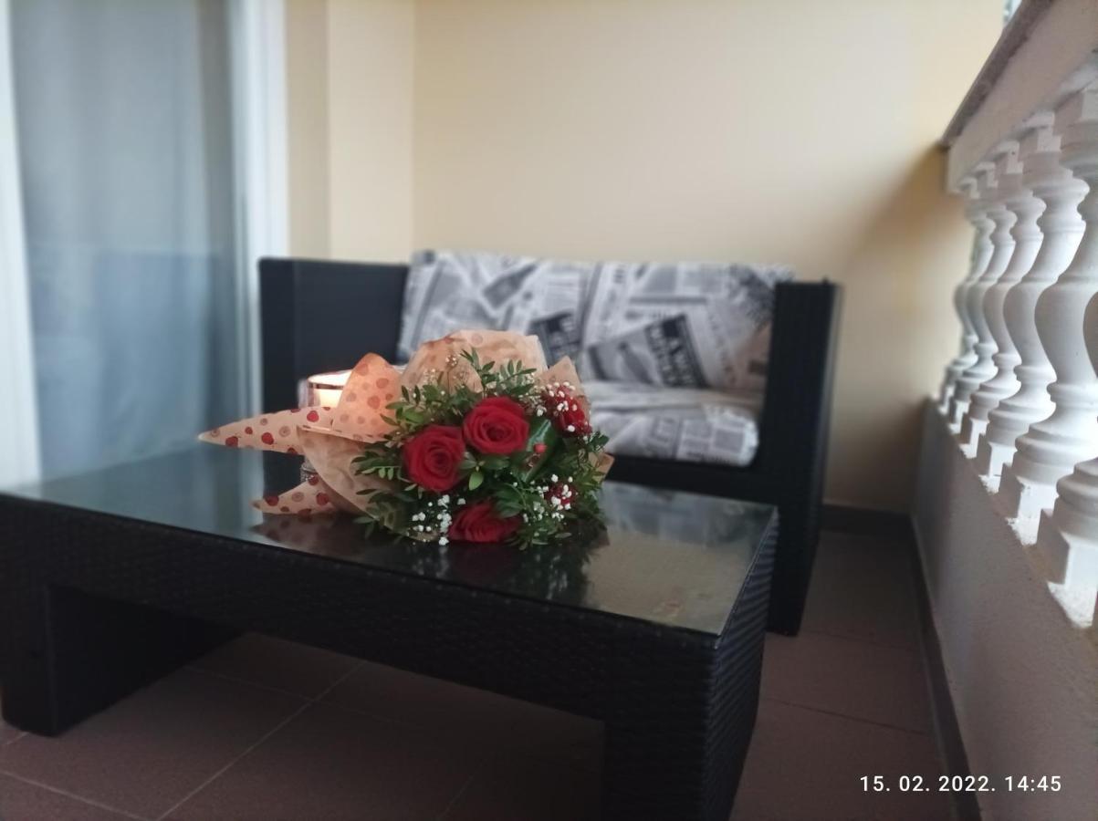 Palma Guesthouse Palit Экстерьер фото