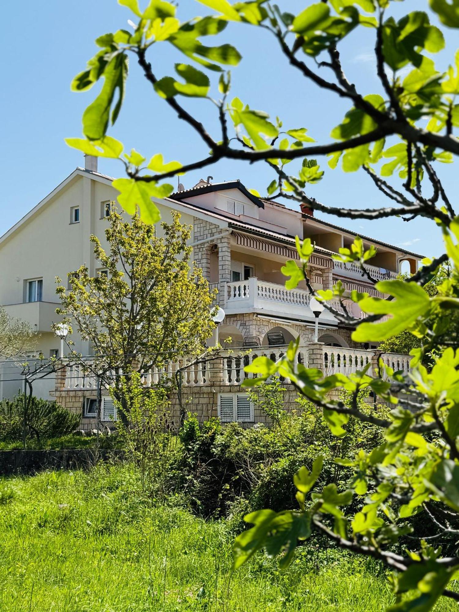 Palma Guesthouse Palit Экстерьер фото